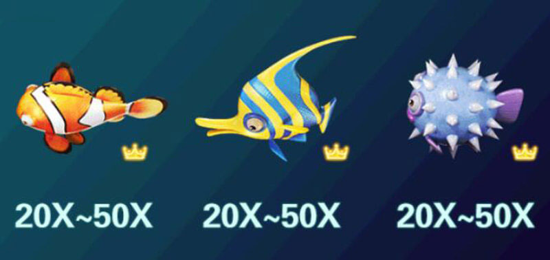 5 ドラゴンズフィッシングゲーム Payouts