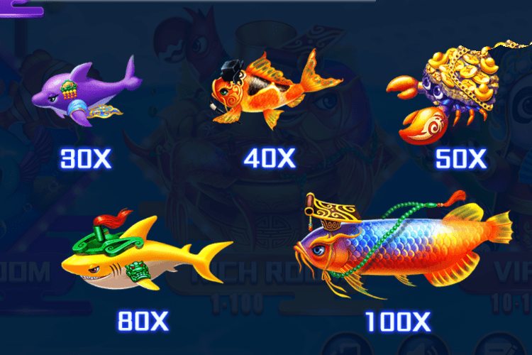 ハイディラオ ペイテーブル 30X-100X