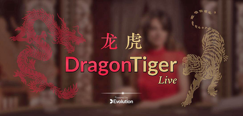 ライブディーラードラゴンタイガーのバリエーションと比較