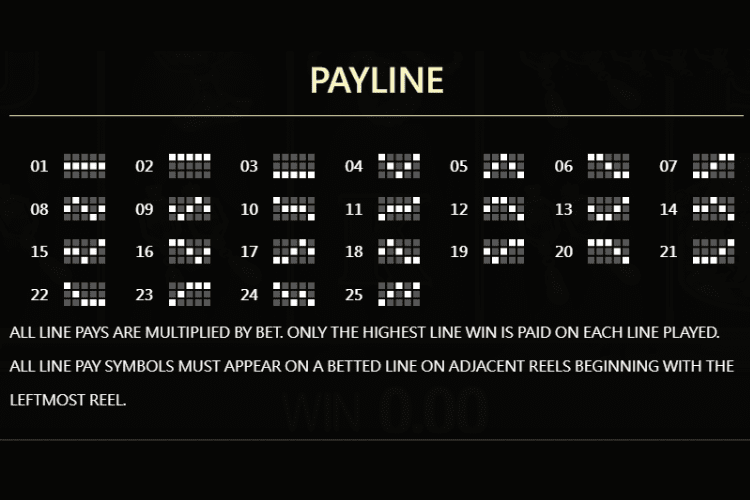 エレメンタルリンクウォータースロットゲーム Playline