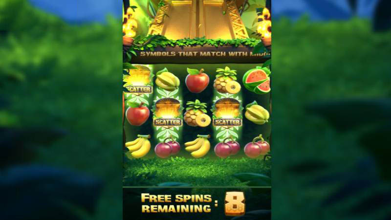 PG Jungle Delight Slot Machine Big Win 2