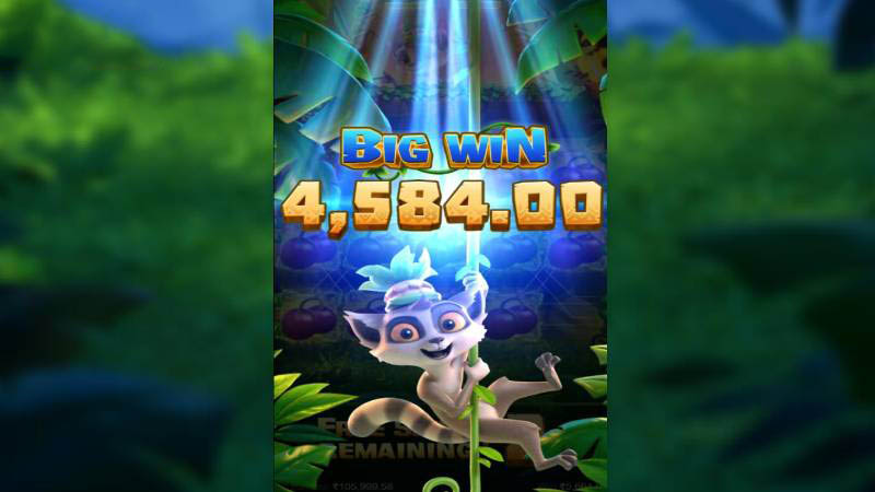 PG Jungle Delight Slot Machine Big Win 4