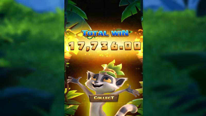 PG Jungle Delight Slot Machine Big Win 5