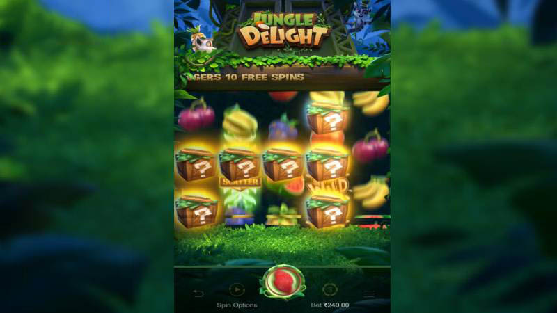 PG Jungle Delight Slot Machine Big Win 6