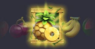 PG Jungle Delight Slot Machine Free Spins Bonus Game 2