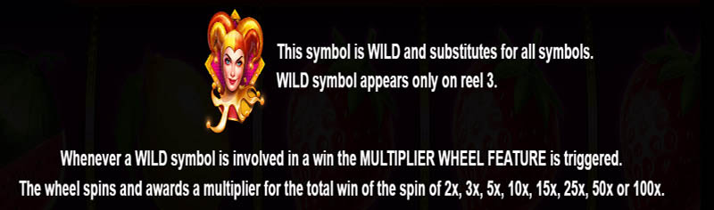 Master Joker Slot Machine Bonus Game